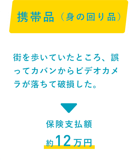 携帯品