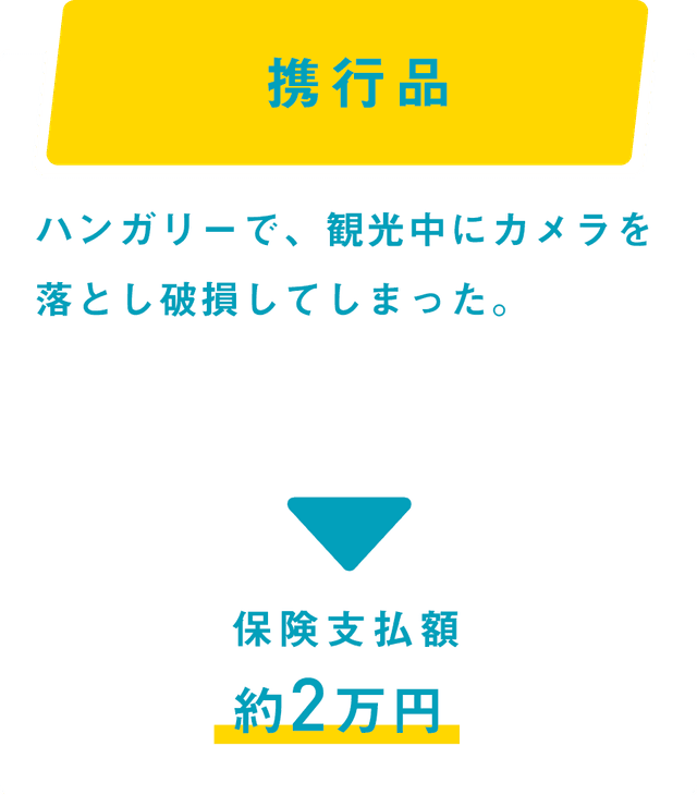 携帯品