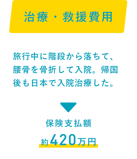 治療・救援費用