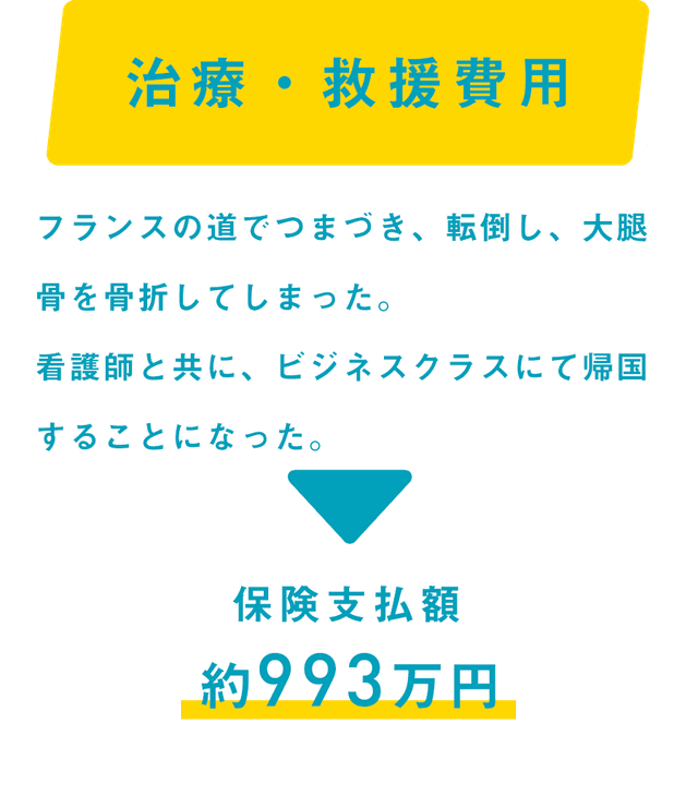 治療・救援費用